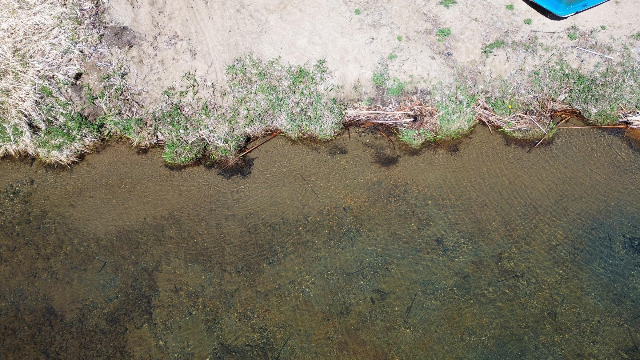 Image 4 Image 4