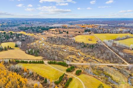 XXX Chokecherry Road