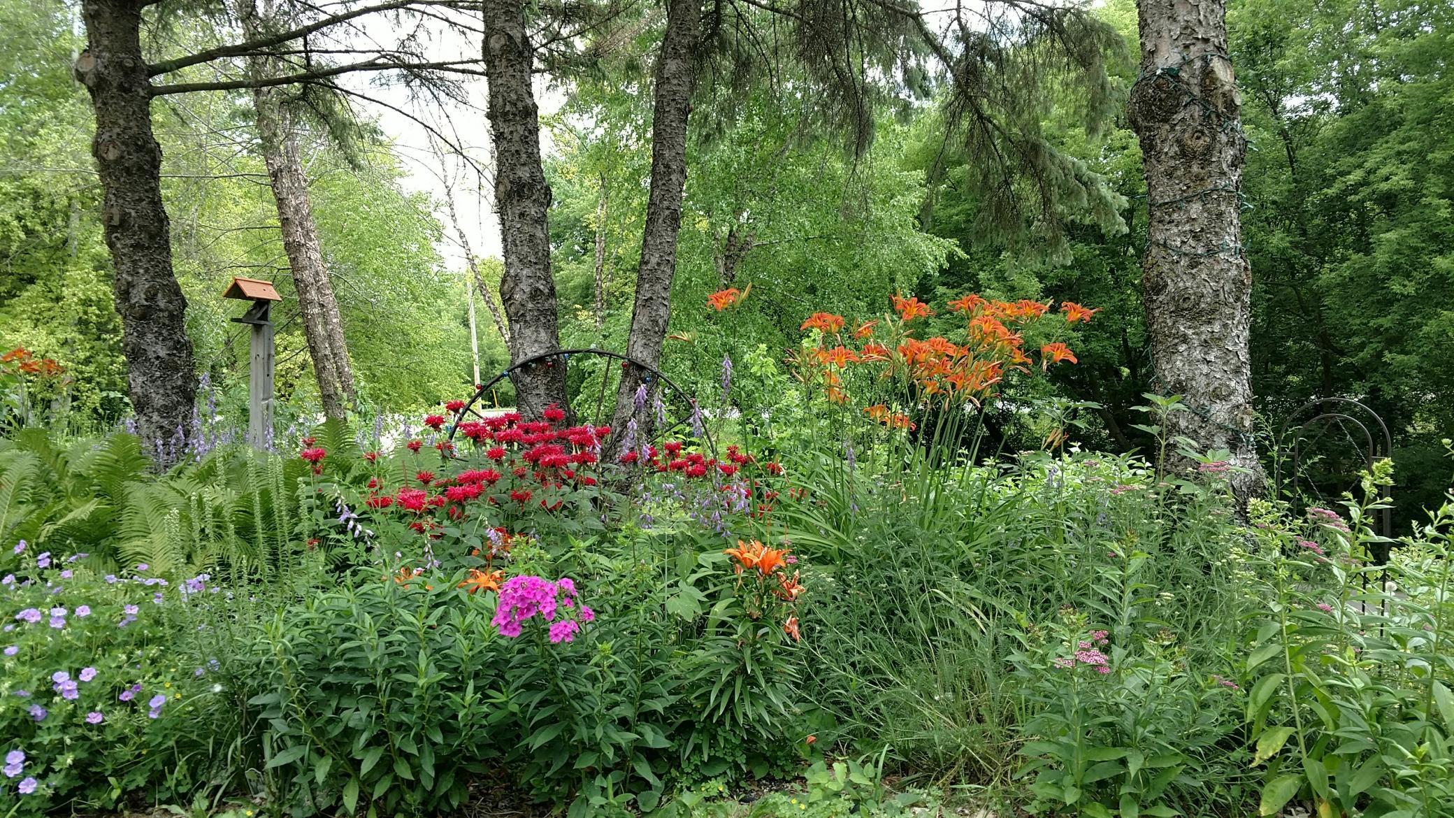 Image 1 Image 1