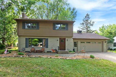 6220 Elm Tree