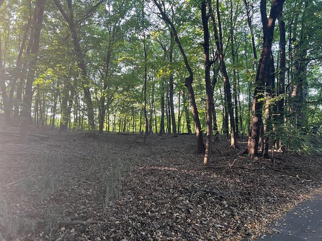Image 1 Image 1