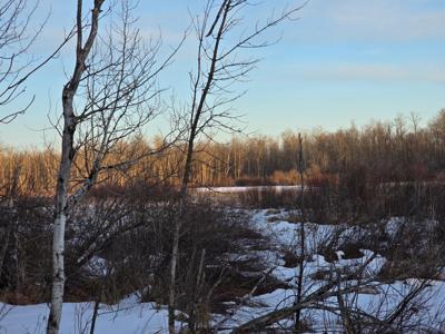 TBD Highway 47