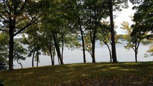 Geneva Drive