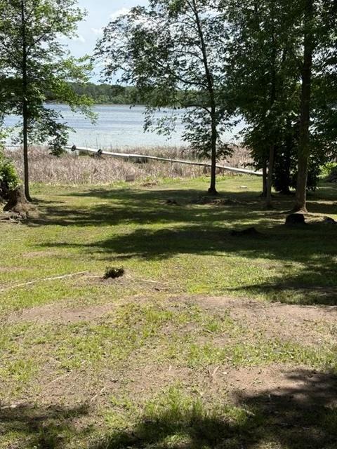 Image 1 Image 1