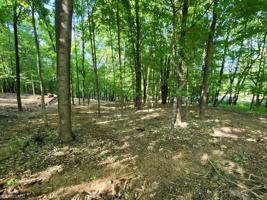 1540 Hines Lakeview