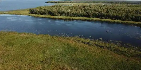 TBD Young's Bay