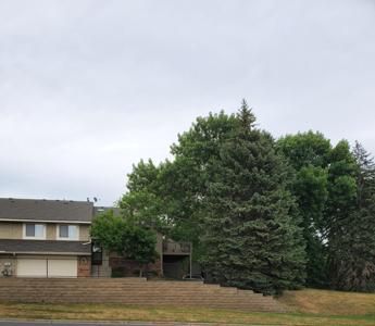 13847 86th N