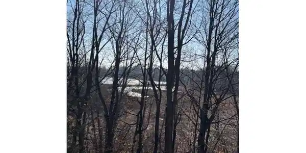 Image 4 Image 4