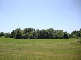 002 Adams SE