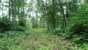 51847 E Lake Trail