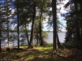 TBD Willow Lake Drive