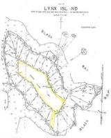 1908 Lynx Island