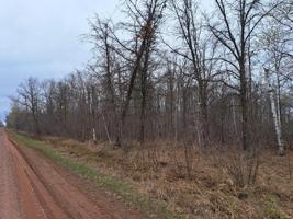 XXXX Cedar Creek Road