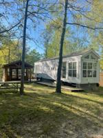 30711 Whitebirch