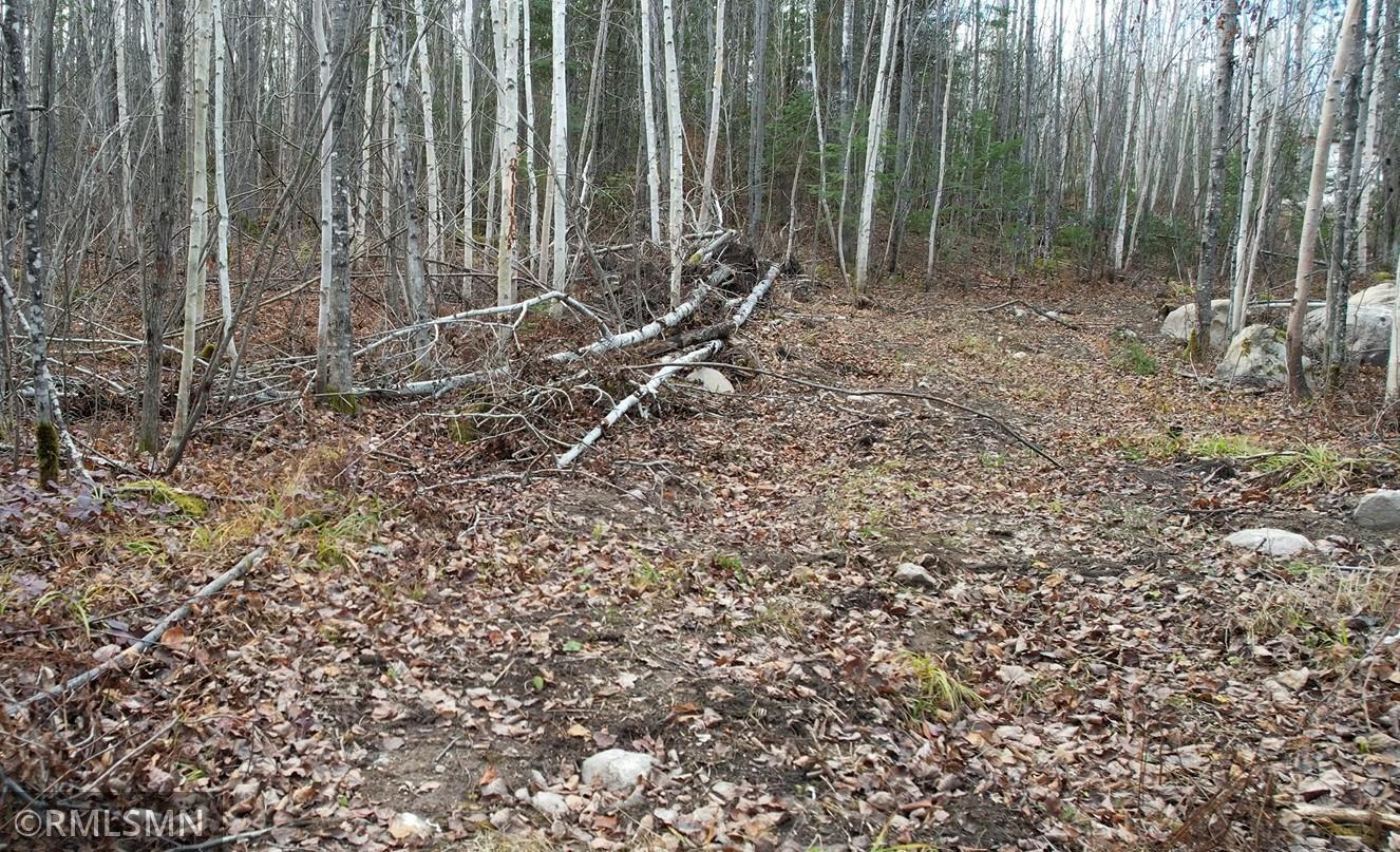 Image 3 Image 3