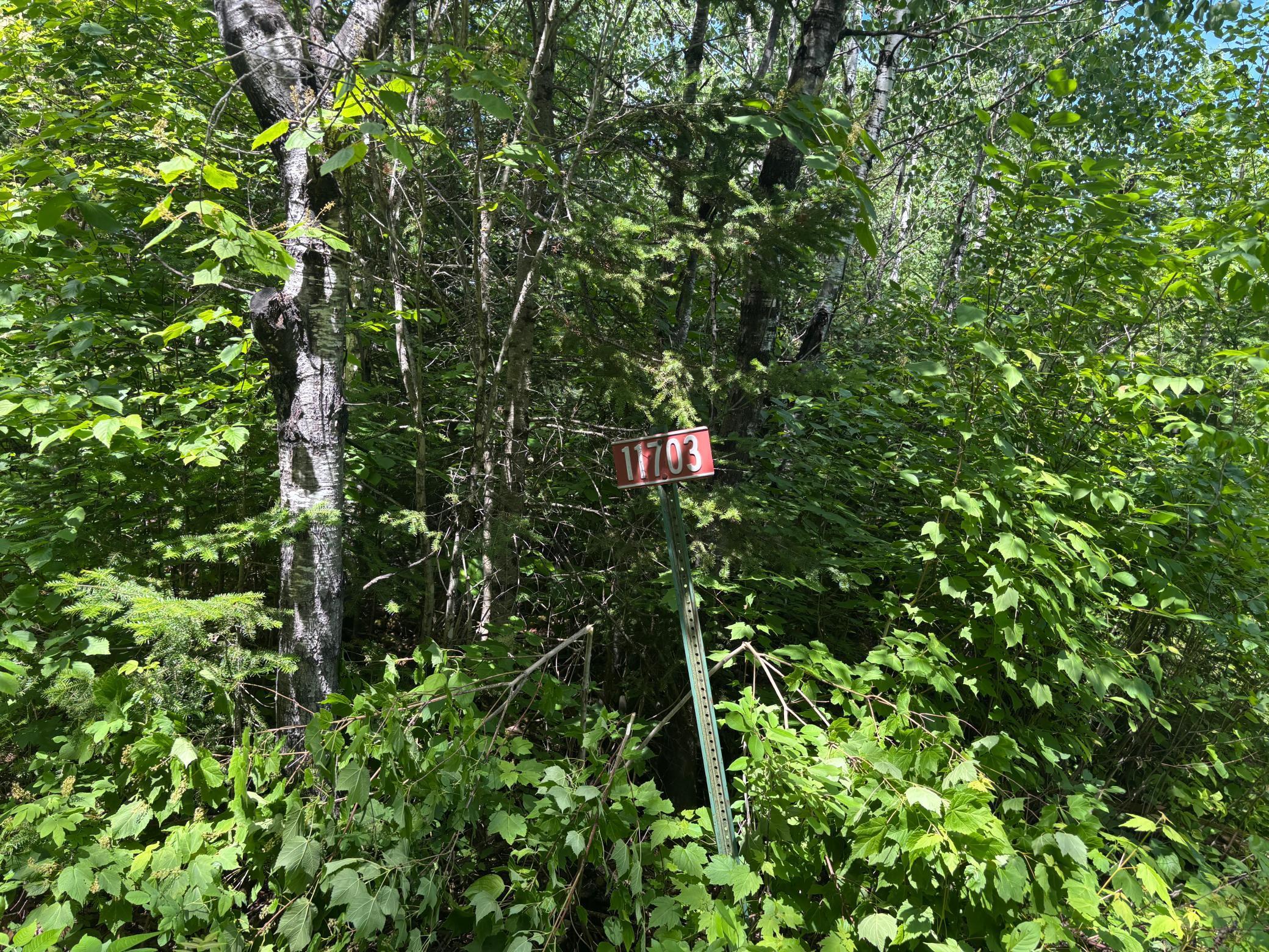 Image 1 Image 1