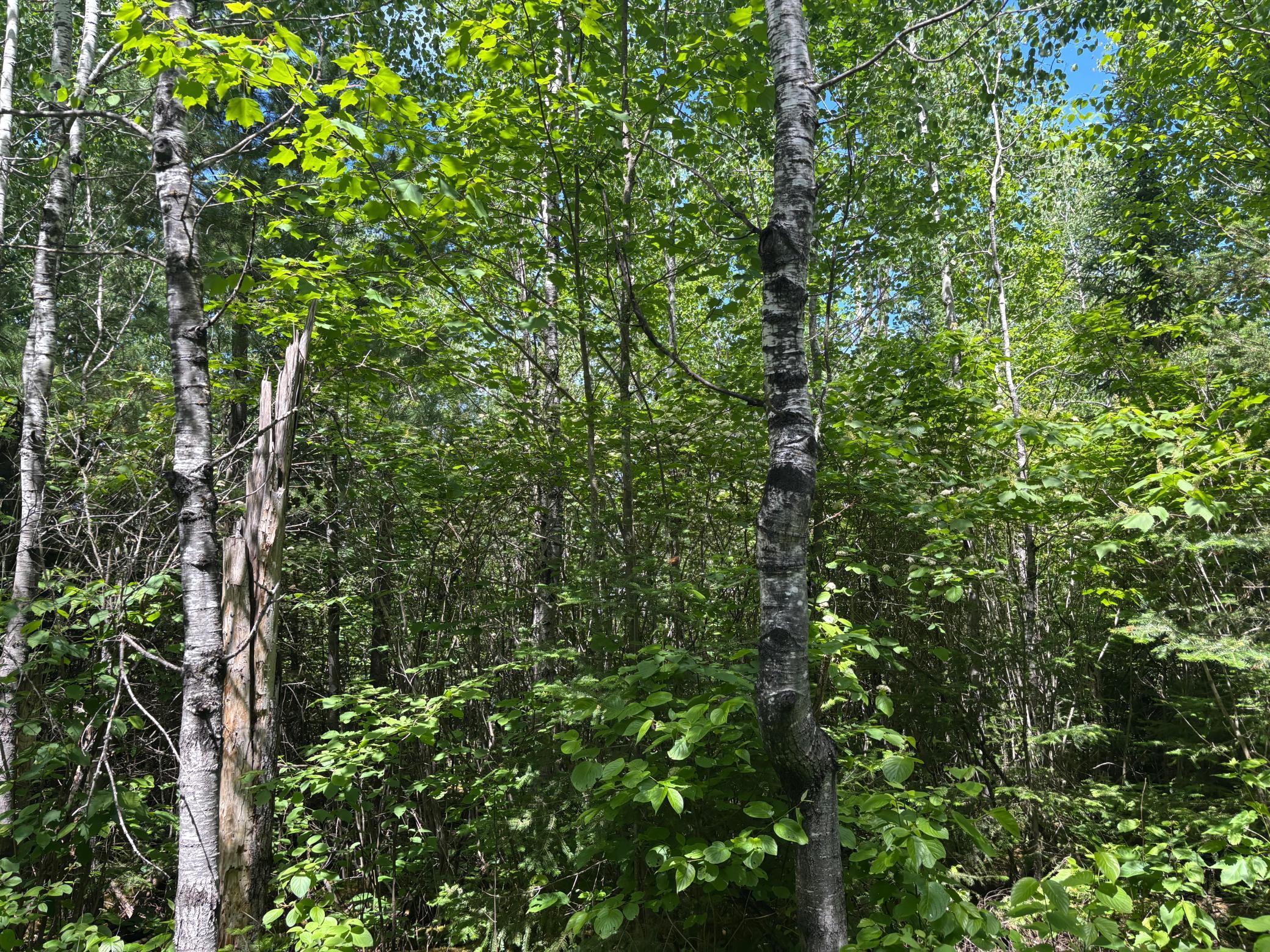 Image 2 Image 2