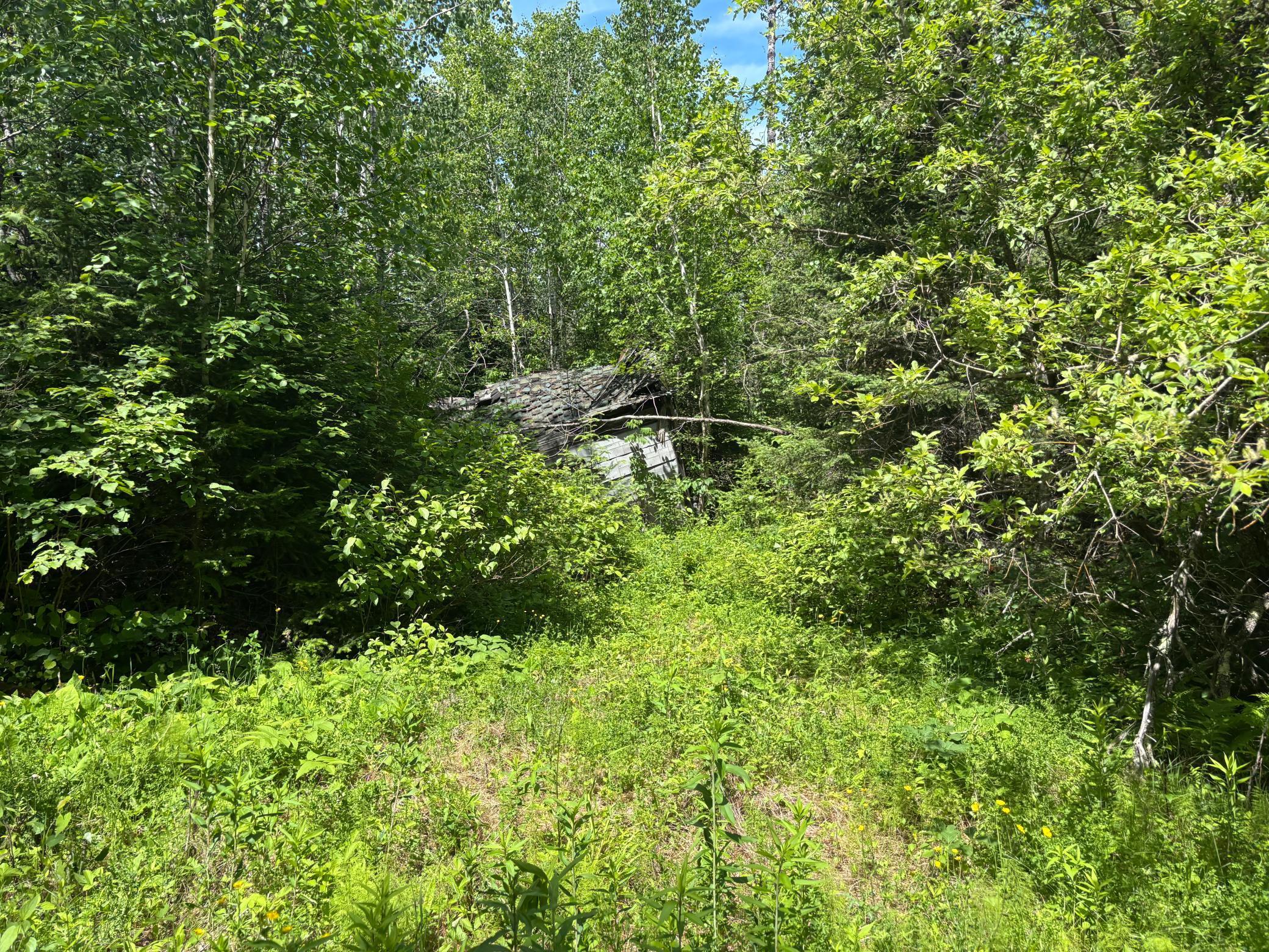 Image 3 Image 3