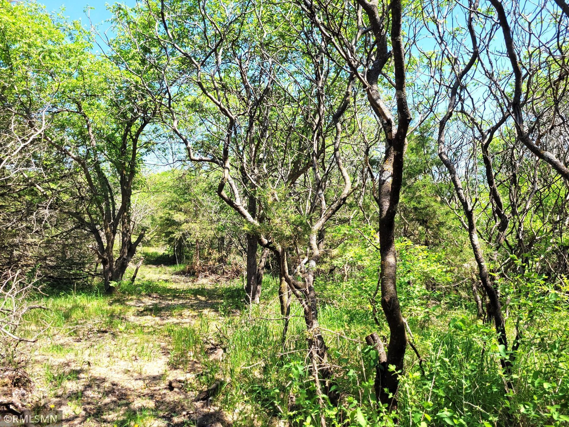 Image 4 Image 4