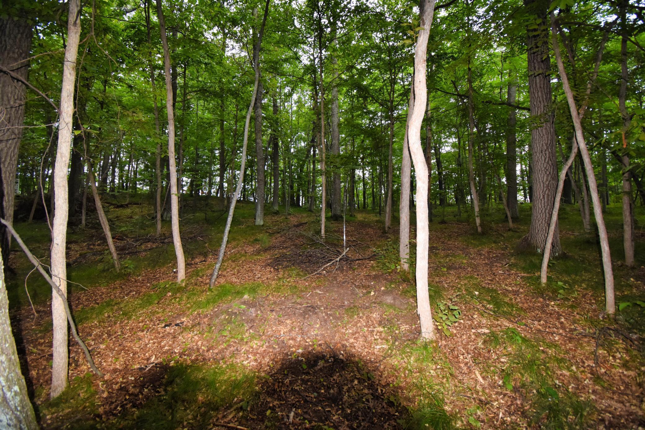 Image 4 Image 4