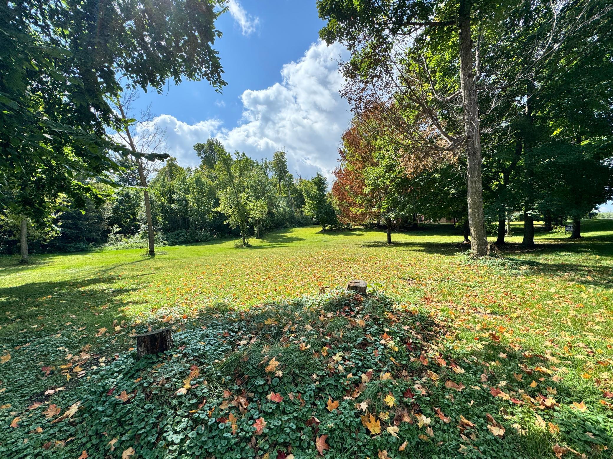 Image 1 Image 1