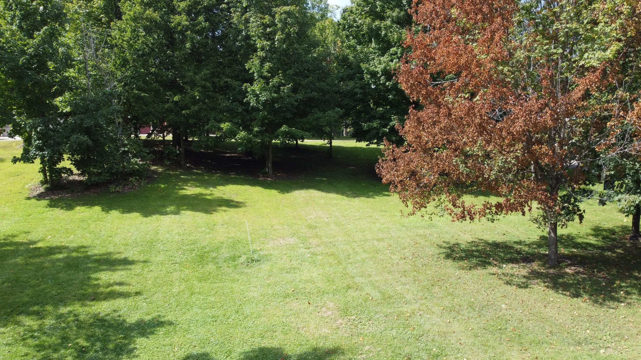 Image 4 Image 4