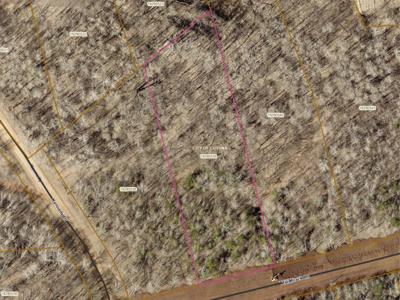 TBD 1.61 Acres Tail Track Lane