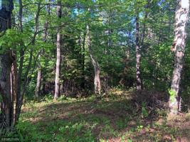 6220 Needleleaf Road