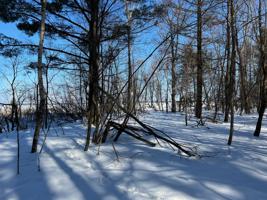 TBD Lot 3 Starlite Trail