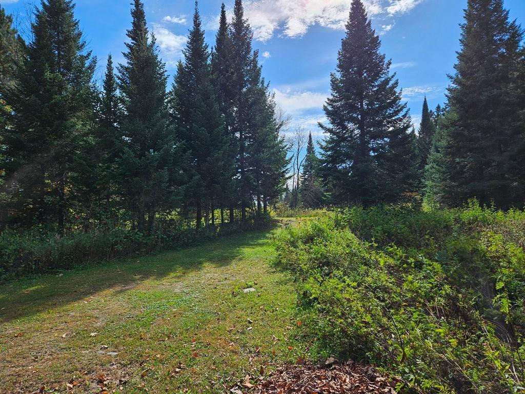 Image 1 Image 1