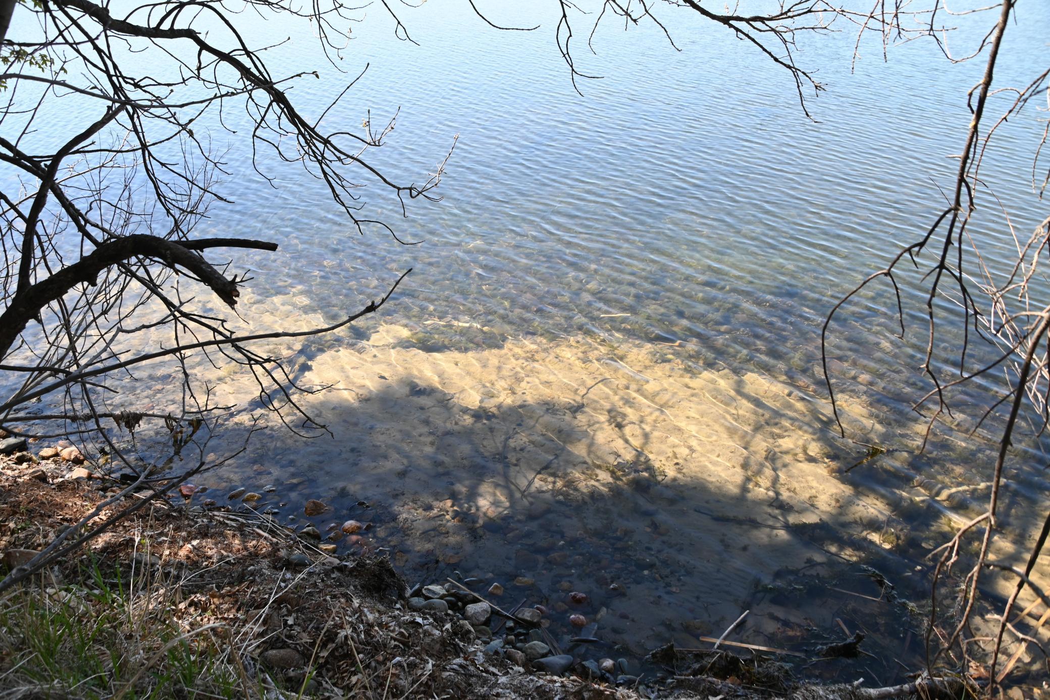 Image 3 Image 3