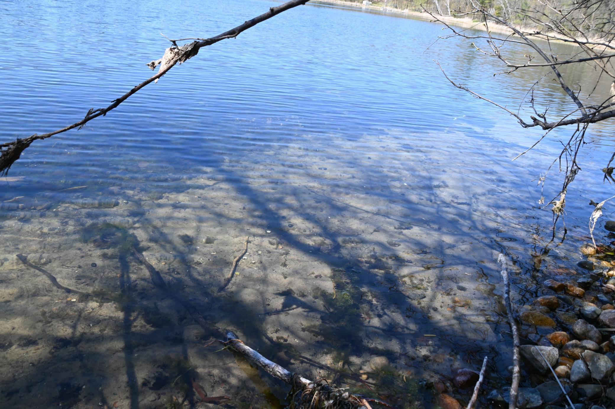 Image 4 Image 4