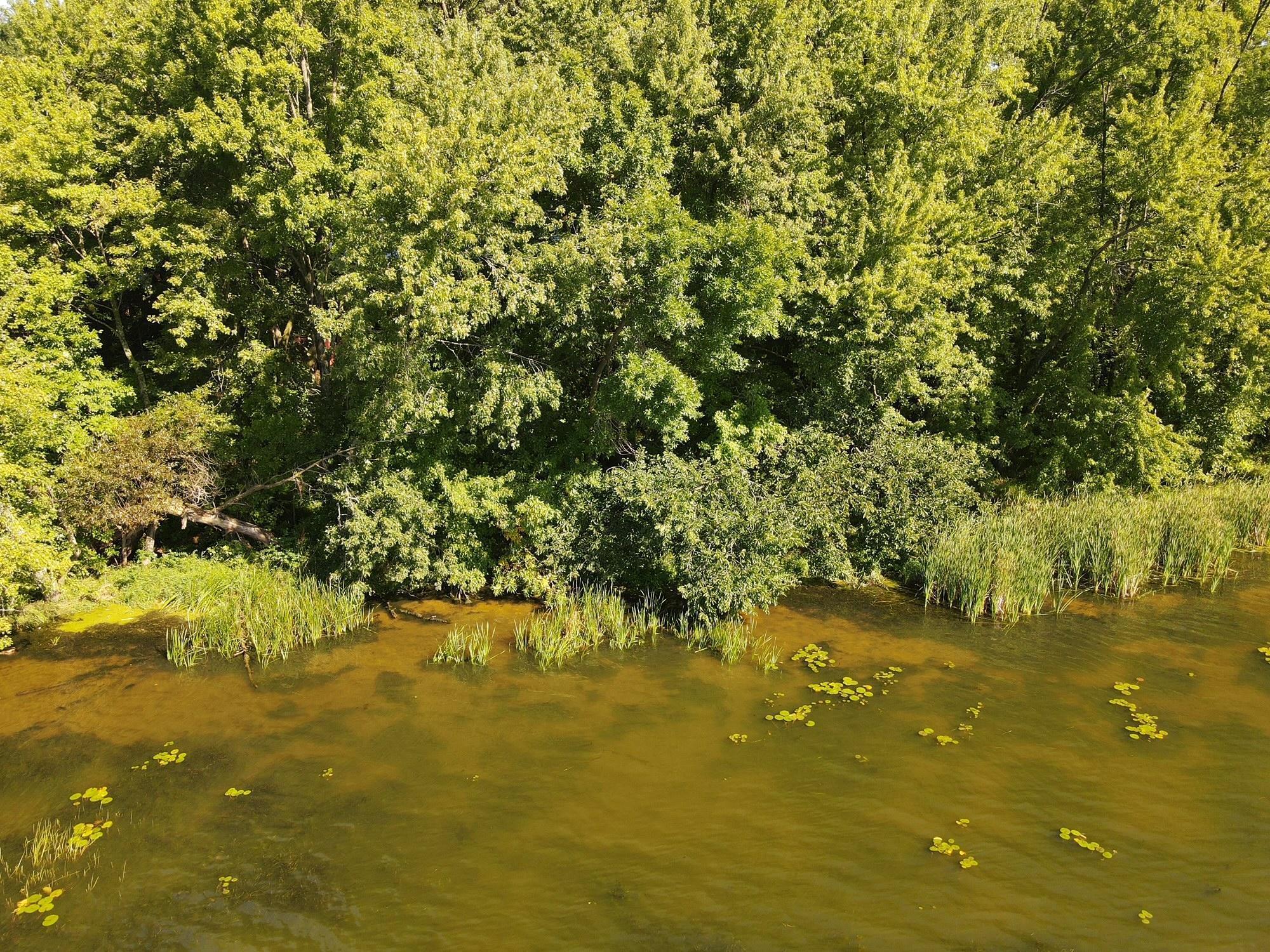 Image 4 Image 4