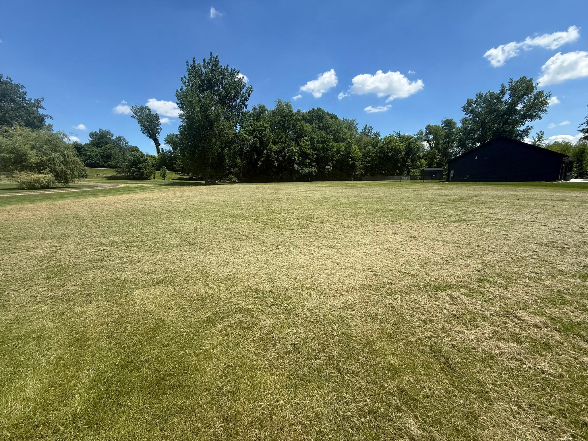 Image 3 Image 3