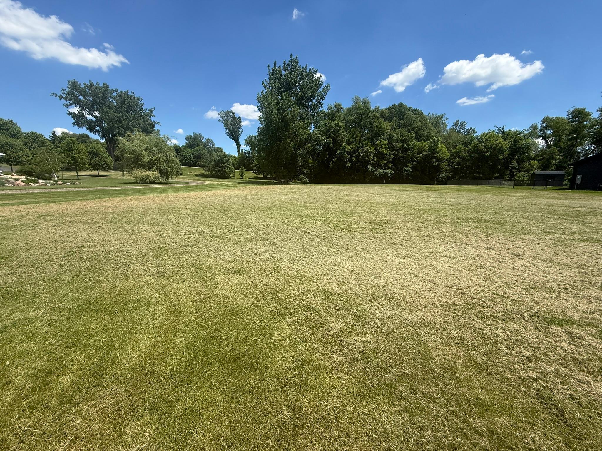 Image 4 Image 4