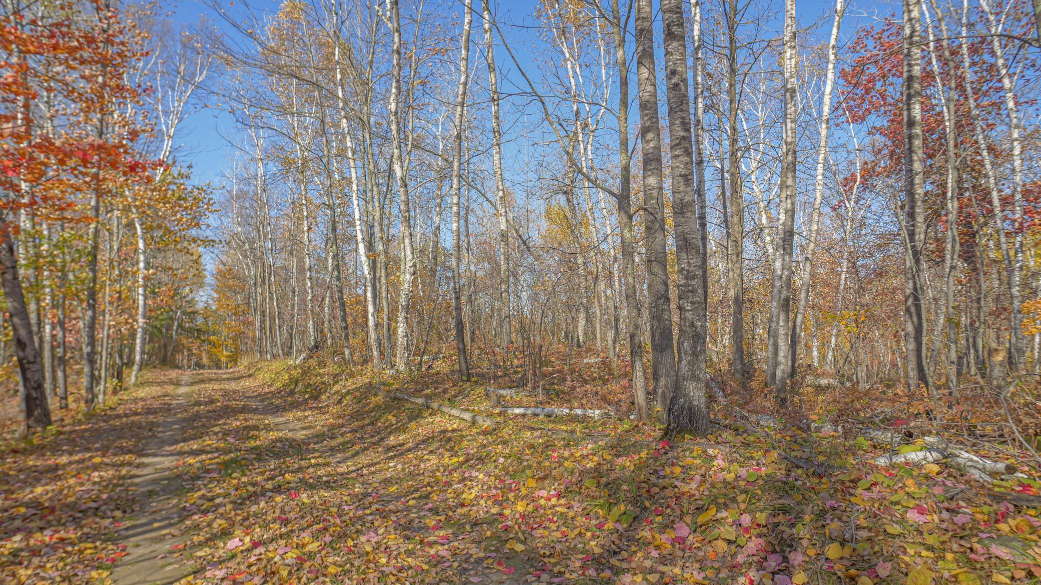 Image 3 Image 3