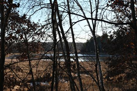 TBD Overland Drive