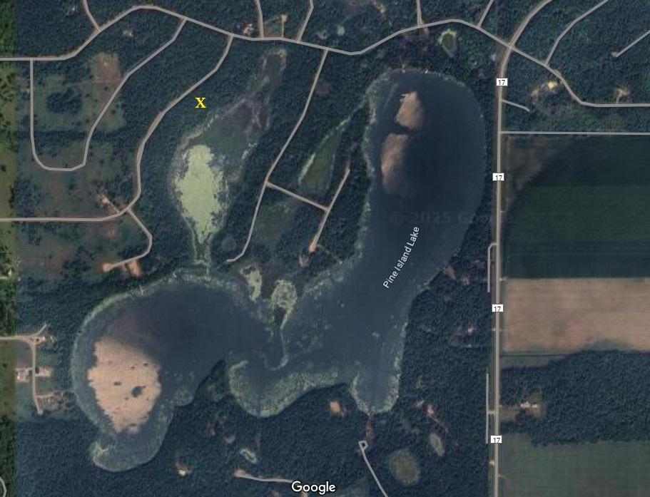 Image 4 Image 4