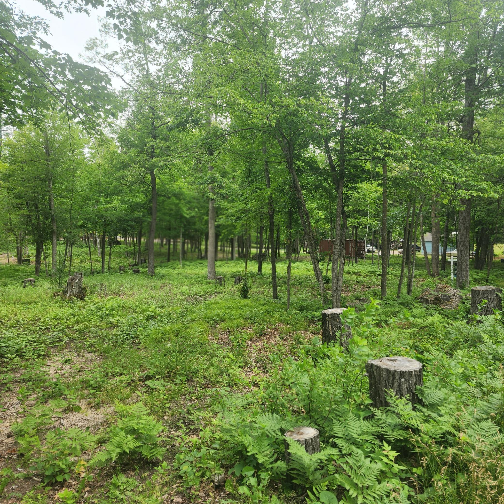 Image 3 Image 3