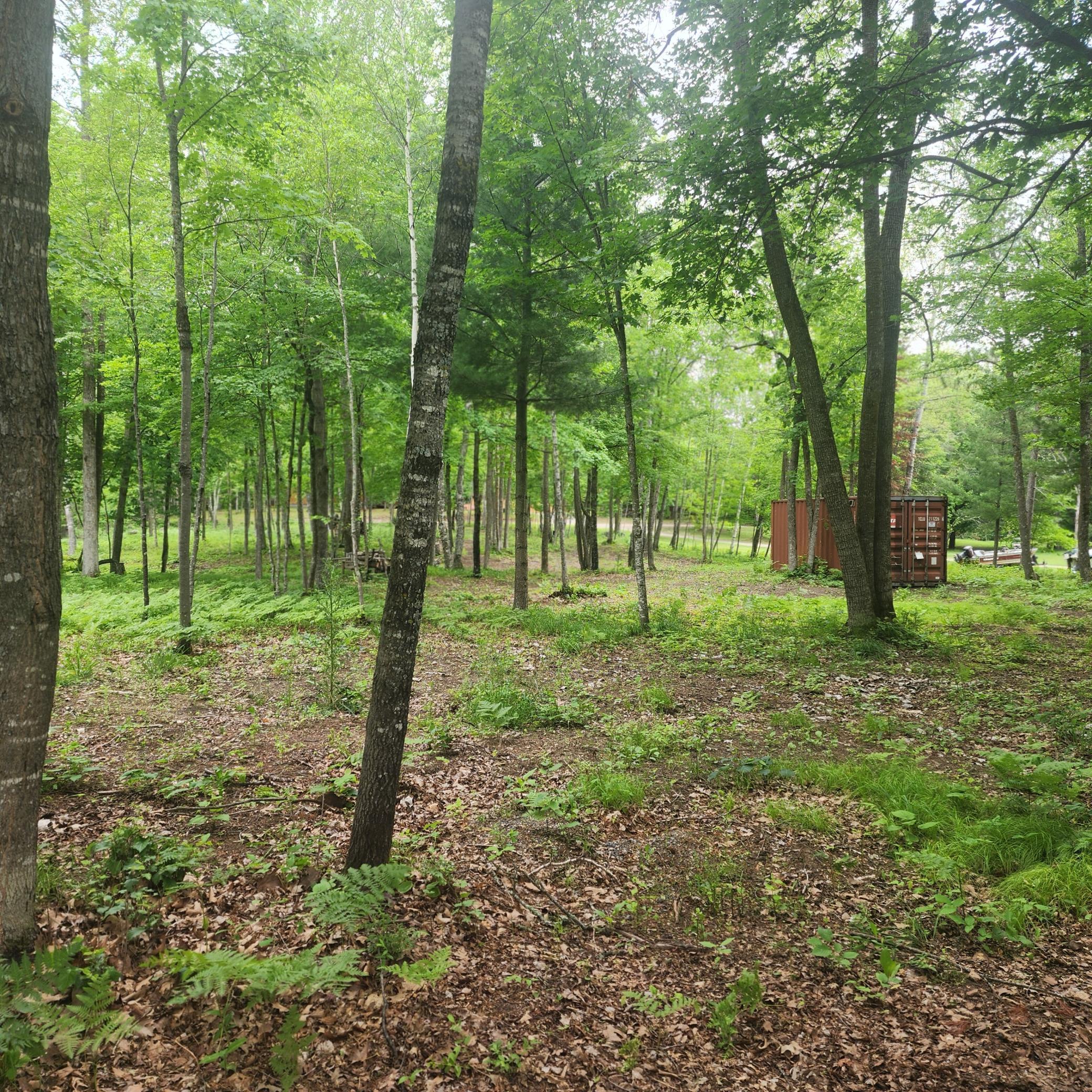 Image 4 Image 4