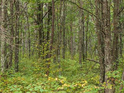 Lot C Sandbar Lane