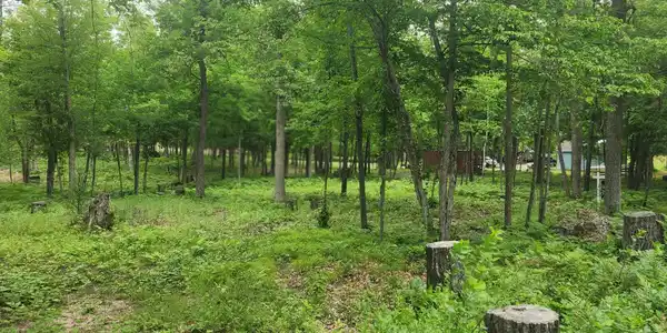 Image 3 Image 3