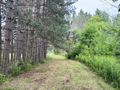 XYZ Plank Road