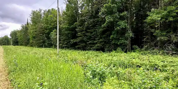 TBD County Road 34