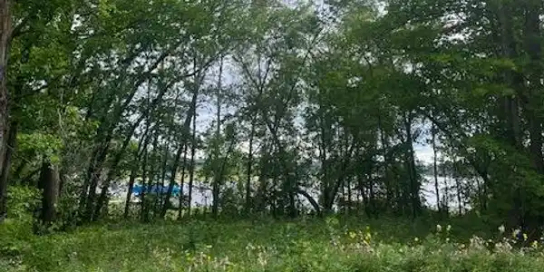 51440 Long Point Place