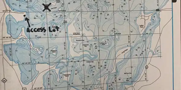XXX Frog Island