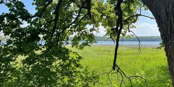 XX Leaf River Rd