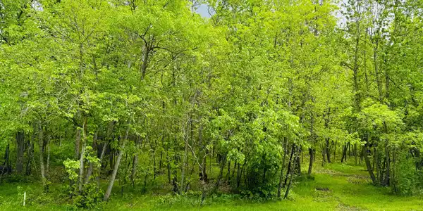 xxxxx Lot 4 Canterbury Sands Trail