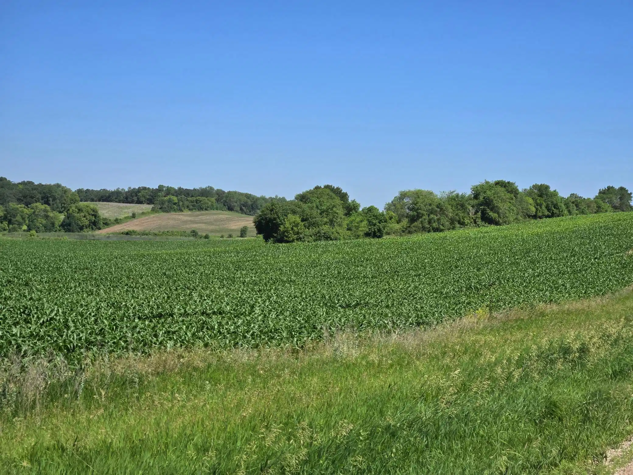 Image 1 Image 1