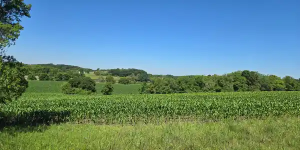 Image 2 Image 2